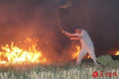  临渭区闫村镇夏忙后秸秆焚烧异常频繁