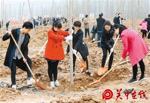 西安市各区县积极响应号召 大力开展植树增绿活动