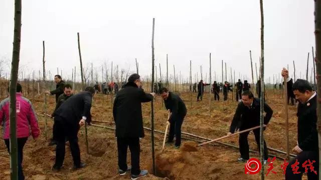 大荔检察干警春季植树忙