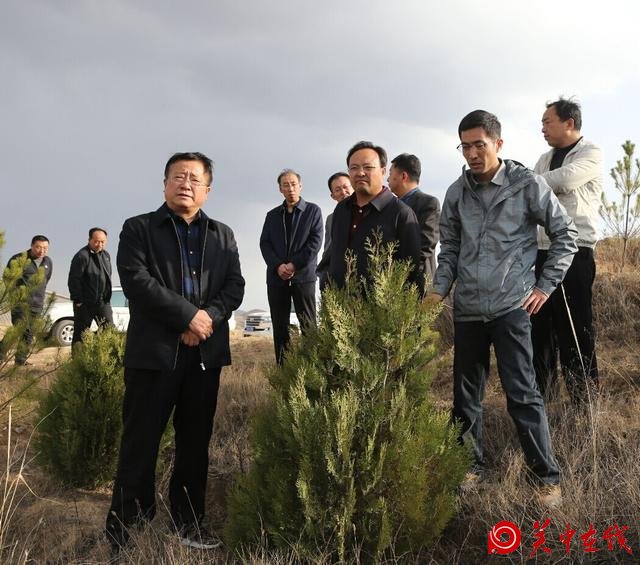延安吴起：桃红柳绿头道川 铁边古镇换新颜