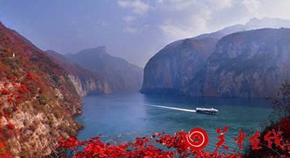 【关中在线】九月九·饮酒赏菊话桑麻