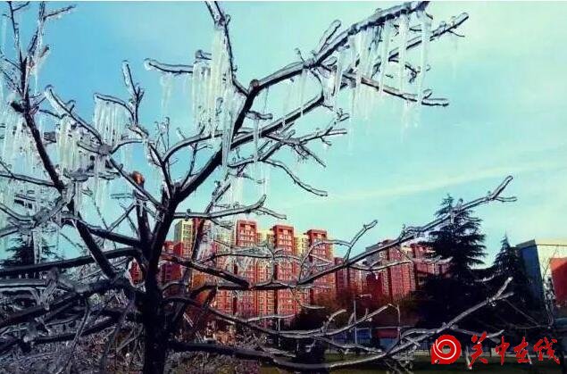【关中在线】西安这所大学“冰雕”等你一起来欣赏 不负青春好时光