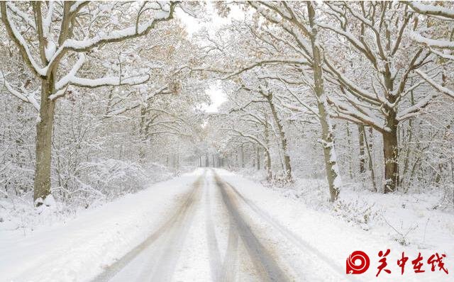 【关中在线】假如老天欺骗了你，网上都在下雪，我是不是生活在一个假西安