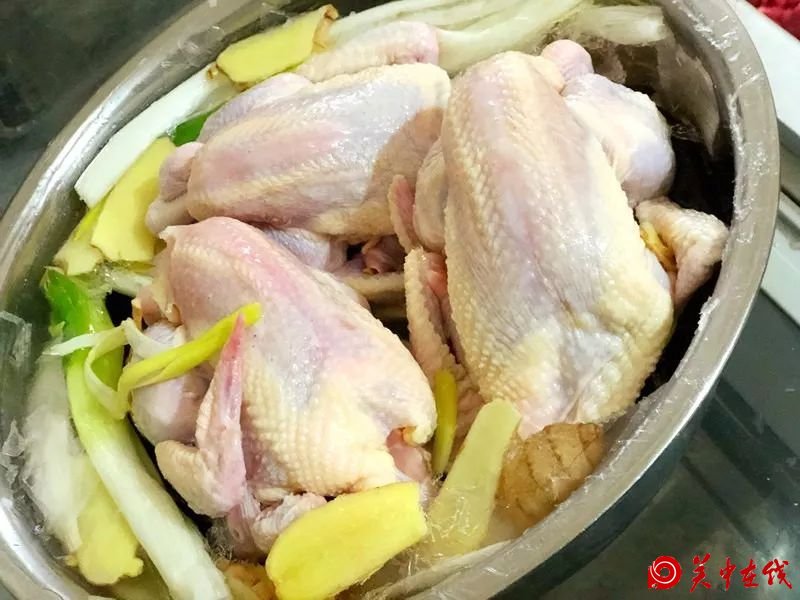 【马回斋】一只童子鸡的一生···