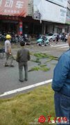 广东连州拖挂车冲向人行道致多名学生死伤