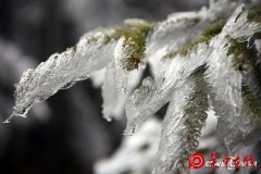 ＂你的新闻 我来关注＂咸旬高速路基桥隧通过验