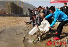 百万尾鱼苗投放嘉陵江