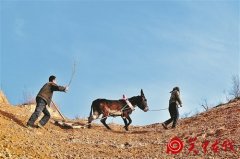 春耕忙