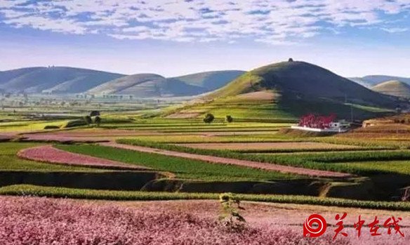 西安周边竟然有这么多的花海，景色美爆了，你知道在哪吗