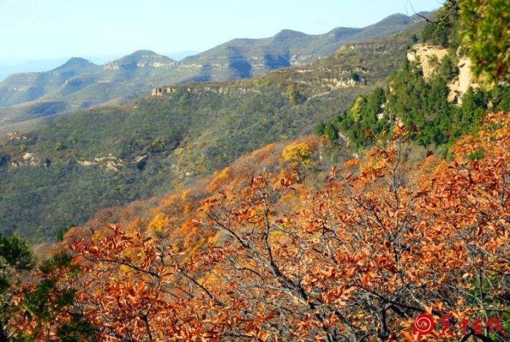 【关中在线】秋染武帝山