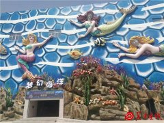 暑假孩子们的福利：西北最大的海洋公园+会跑的实景演出《驼铃传奇》
