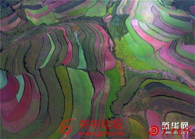 【关中在线】飞越东川红土地