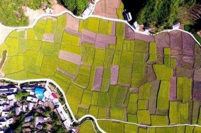 【关中在线】陕西这个景区真的是太美了高山顶上藏千亩平原，宛如一个世外桃源