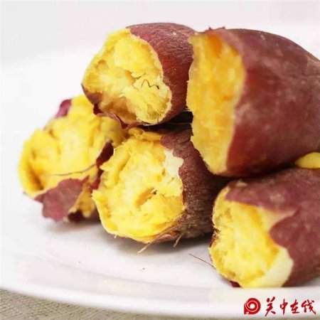 【关中在线】堪比肉价的陕西板栗红薯，好吃的秘密是什么?