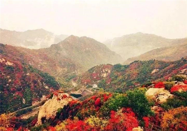  【关中在线】太撩人！长安这几处低调的秋景地，惊艳陕西数千年！