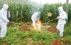 合阳县多举措全力做好春季动物防疫工作