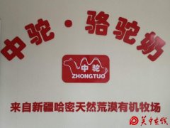 新疆中驼.骆驼奶，沙漠白金，滋补佳品