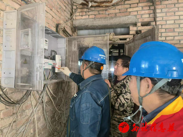 国网渭南供电公司：电力赋能 助力养殖场生“鸡”盎然
