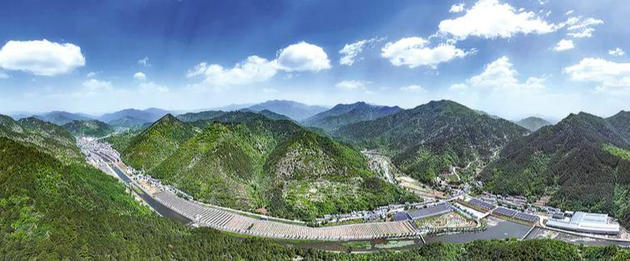 丹凤：加快全域森林康养试点基地建设