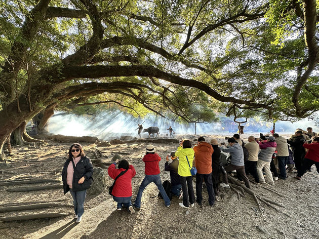 西安市摄协、霞浦县摄协签约结盟 共谱陕闽光影新篇