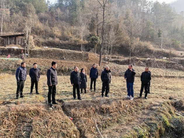 陕西省旬阳市石门镇：代表履职践初心，实干惠民暖民心